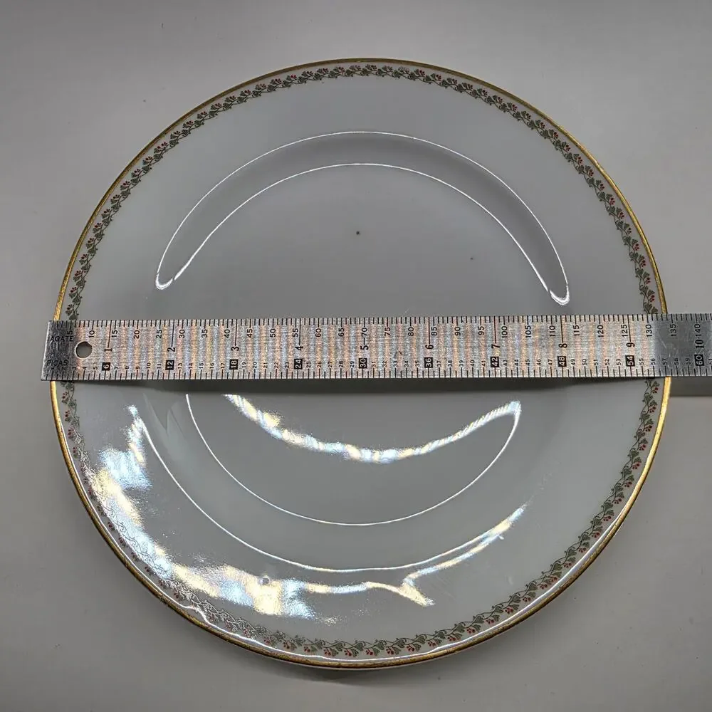 Haviland Limoges France Floral Gold Rim Dinner Plates Lot of 6 10